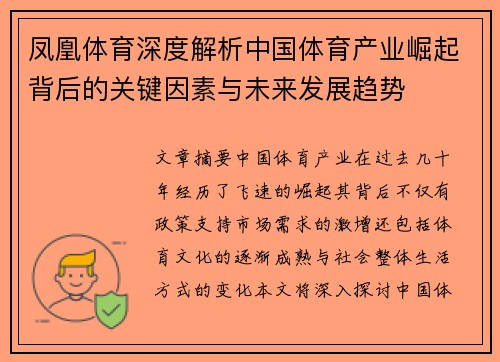 凤凰体育深度解析中国体育产业崛起背后的关键因素与未来发展趋势